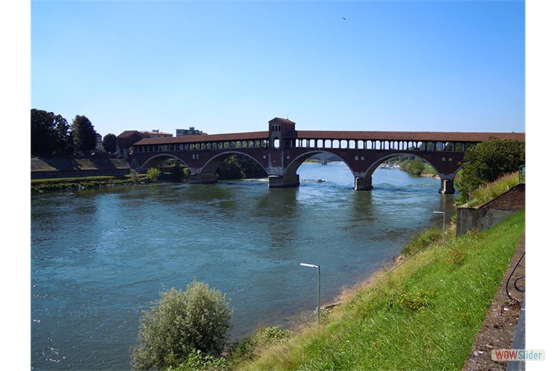 Pavia