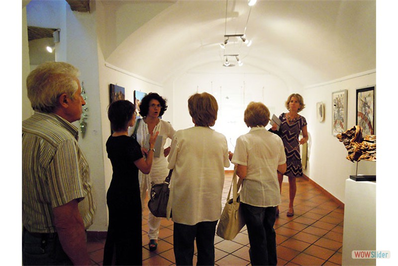 Ospiti della mostra Percorsi nella materia - Pavia