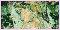 E piove sulle tue ciglia, Ermione