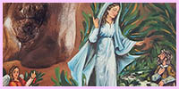 Mater Misericordiae