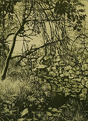 Le mura del castello