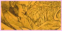 Ex libris