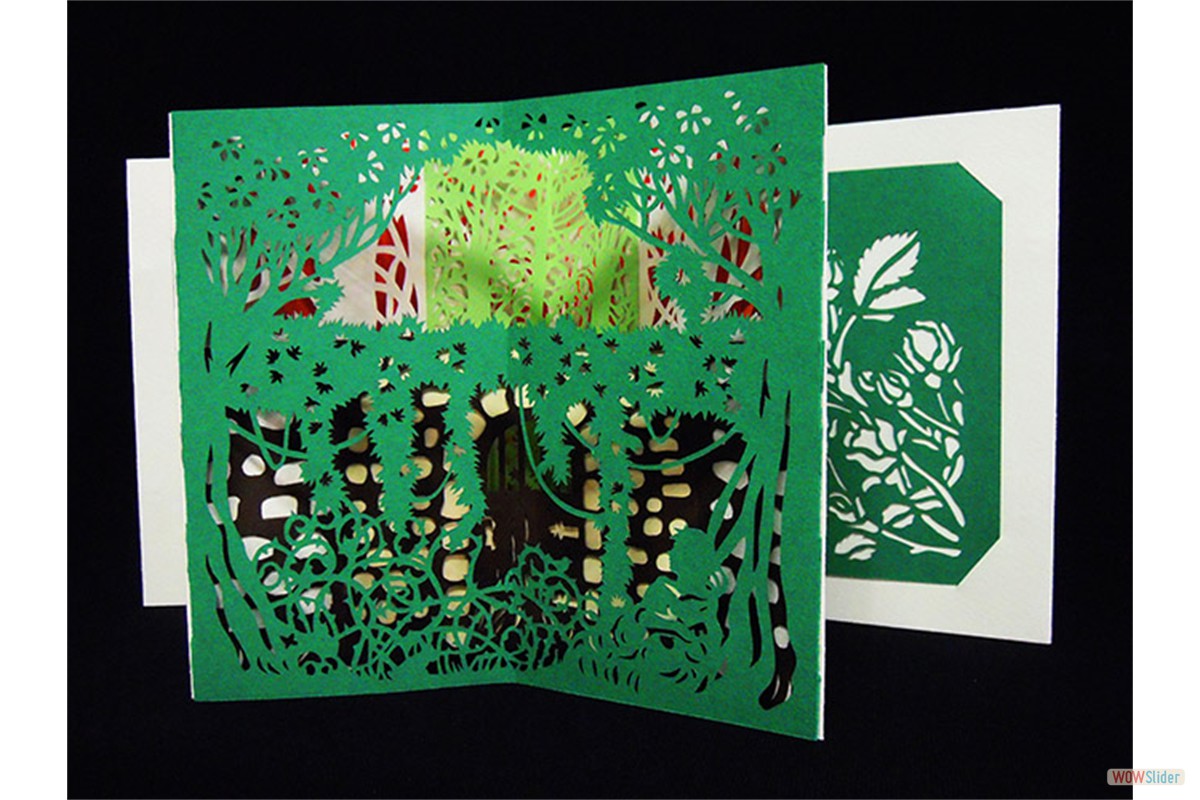 Pagine visuali. Libro d'artista - 2014