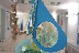 Il pianeta azzurro - SACS - 2016